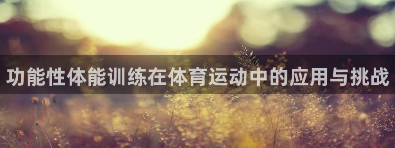 3377体育平台：功能性体能训练在体育运动中的应用与挑战