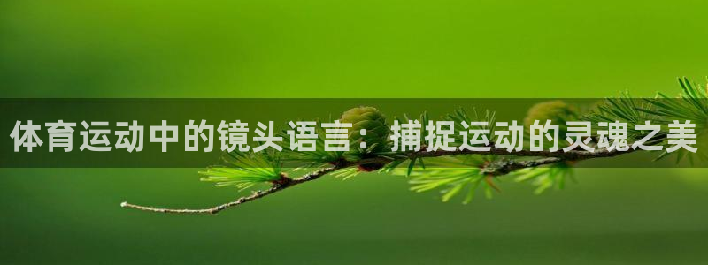3377体育：体育运动中的镜头语言：捕捉运动的灵魂之美