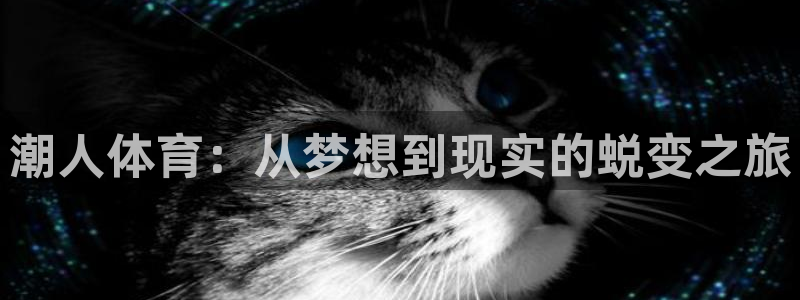 3377体育官网入口网页版：潮人体育：从梦想到现实的蜕变之旅