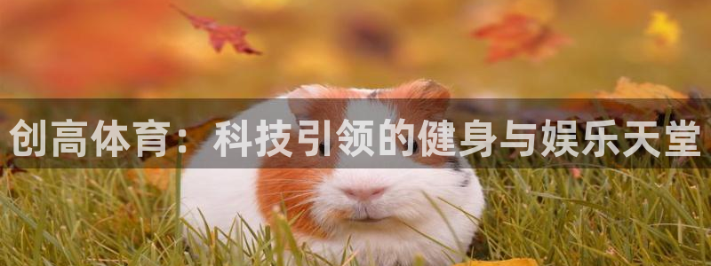3377体育官方app下载：创高体育：科技引领的健身与娱乐天堂
