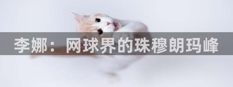 3377体育app登录入口：李娜：网球界的珠穆朗玛峰