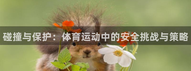 3377体育app官方下载：碰撞与保护：体育运动中的安全挑战与策略