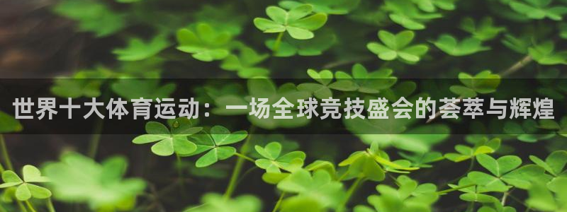 3377体育全网：世界十大体育运动：一场全球竞技盛会的荟萃与辉煌