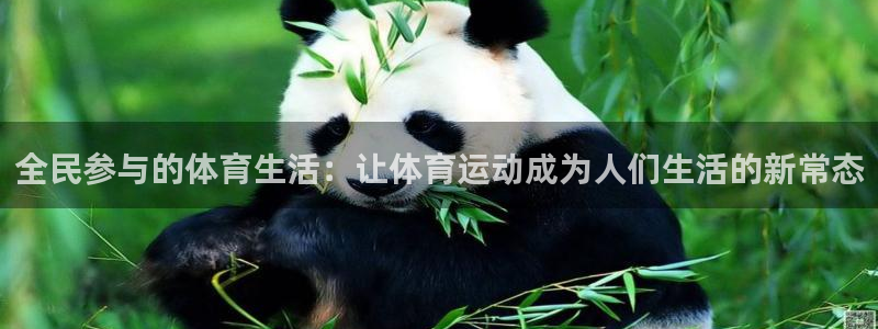 3377体育是正规的吗：全民参与的体育生活：让体育运动成为人们生活的新常态