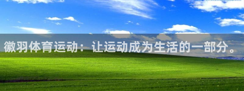 3377体育是正规平台吗：徽羽体育运动：让运动成为生活的一部分。
