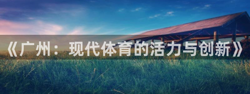 3377体育：《广州：现代体育的活力与创新》