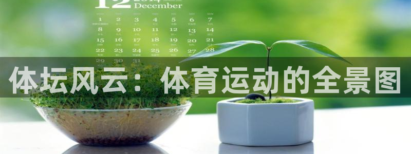 3377体育官网：体坛风云：体育运动的全景图