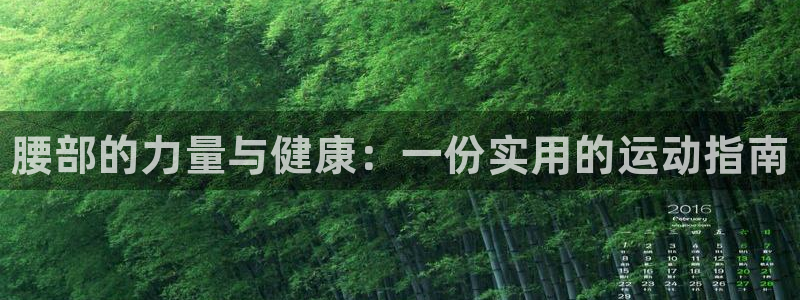 3377体育是正规的吗：腰部的力量与健康：一份实用的运动指南