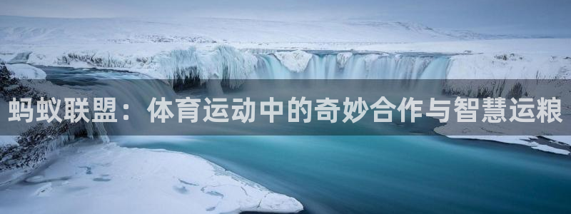 3377体育官网入口网页版：蚂蚁联盟：体育运动中的奇妙合作与智慧运粮