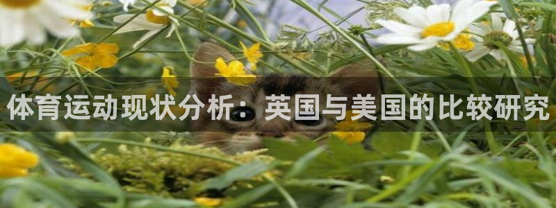 3377体育(中国)官方网站：体育运动现状分析：英国与美国的比较研究