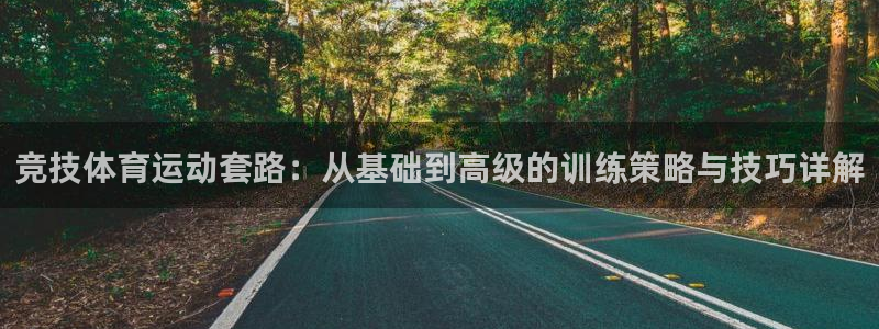 3377体育(中国)官方网站：竞技体育运动套路：从基础到高级的训练策略与技巧详解