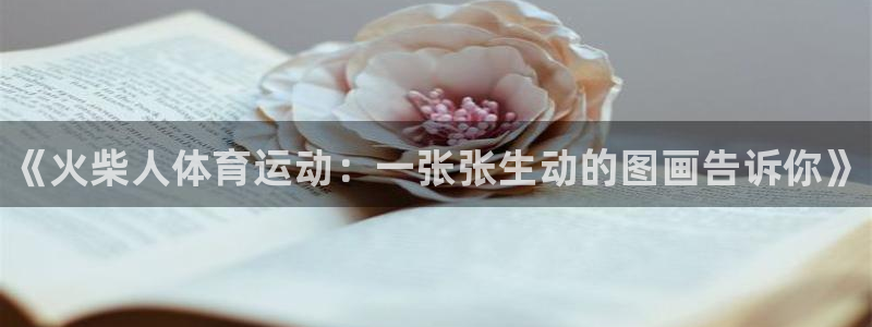 3377体育手机平台：《火柴人体育运动：一张张生动的图画告诉你》