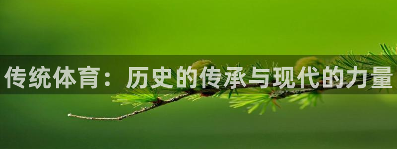 3377体育app登录入口：传统体育：历史的传承与现代的力量