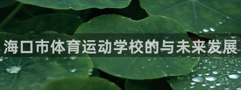 3377体育在线登录官网入口：海口市体育运动学校的与未来发展