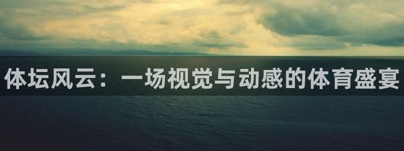 3377体育中国官方网站入口：体坛风云：一场视觉与动感的体育盛宴
