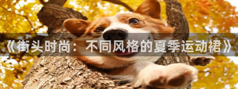 3377体育官网入口网页版：《街头时尚：不同风格的夏季运动裙》