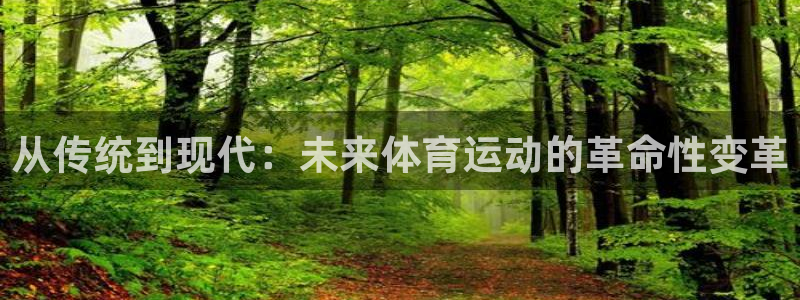 3377体育官网入口下载最新：从传统到现代：未来体育运动的革命性变革