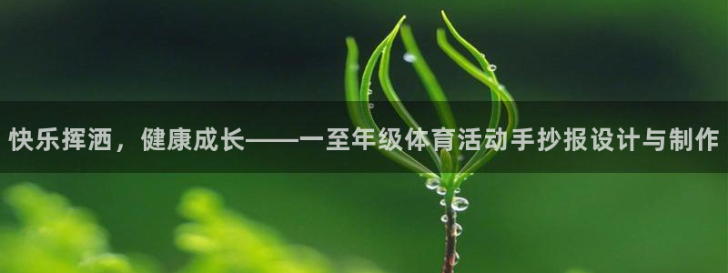 3377体育平台：快乐挥洒，健康成长——一至年级体育活动手抄报设计与制作