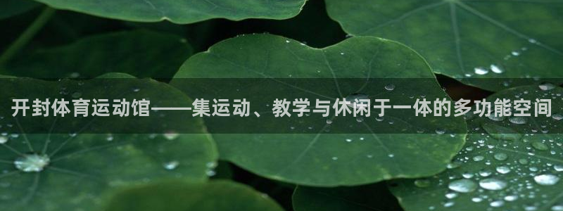 3377体育网页登录入口：开封体育运动馆——集运动、教学与休闲于一体的多功能空间
