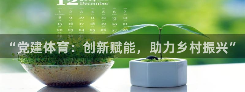 3377体育官网下载：“党建体育：创新赋能，助力乡村振兴”