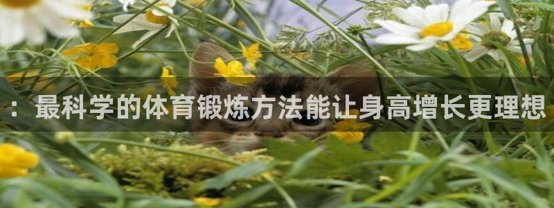 3377体育app官网下载地址：：最科学的体育锻炼方法能让身高增长更理想