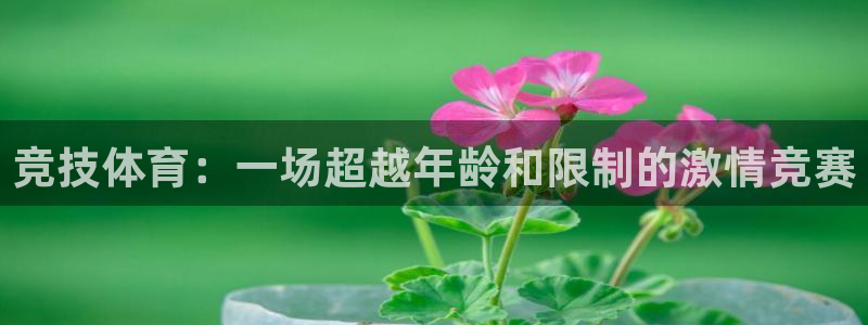 3377体育官网下载：竞技体育：一场超越年龄和限制的激情竞赛