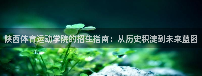 3377体育官网入口下载最新：陕西体育运动学院的招生指南：从历史积淀到未来蓝图