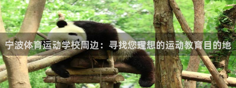 3377体育官方app下载：宁波体育运动学校周边：寻找您理想的运动教育目的地