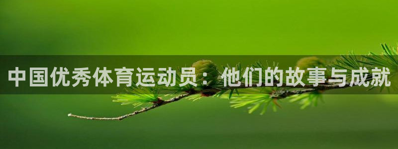 3377体育官网下载：中国优秀体育运动员：他们的故事与成就