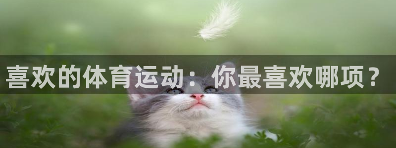 3377体育中国官方网站入口：喜欢的体育运动：你最喜欢哪项？