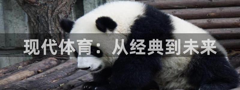 3377体育官网下载：现代体育：从经典到未来